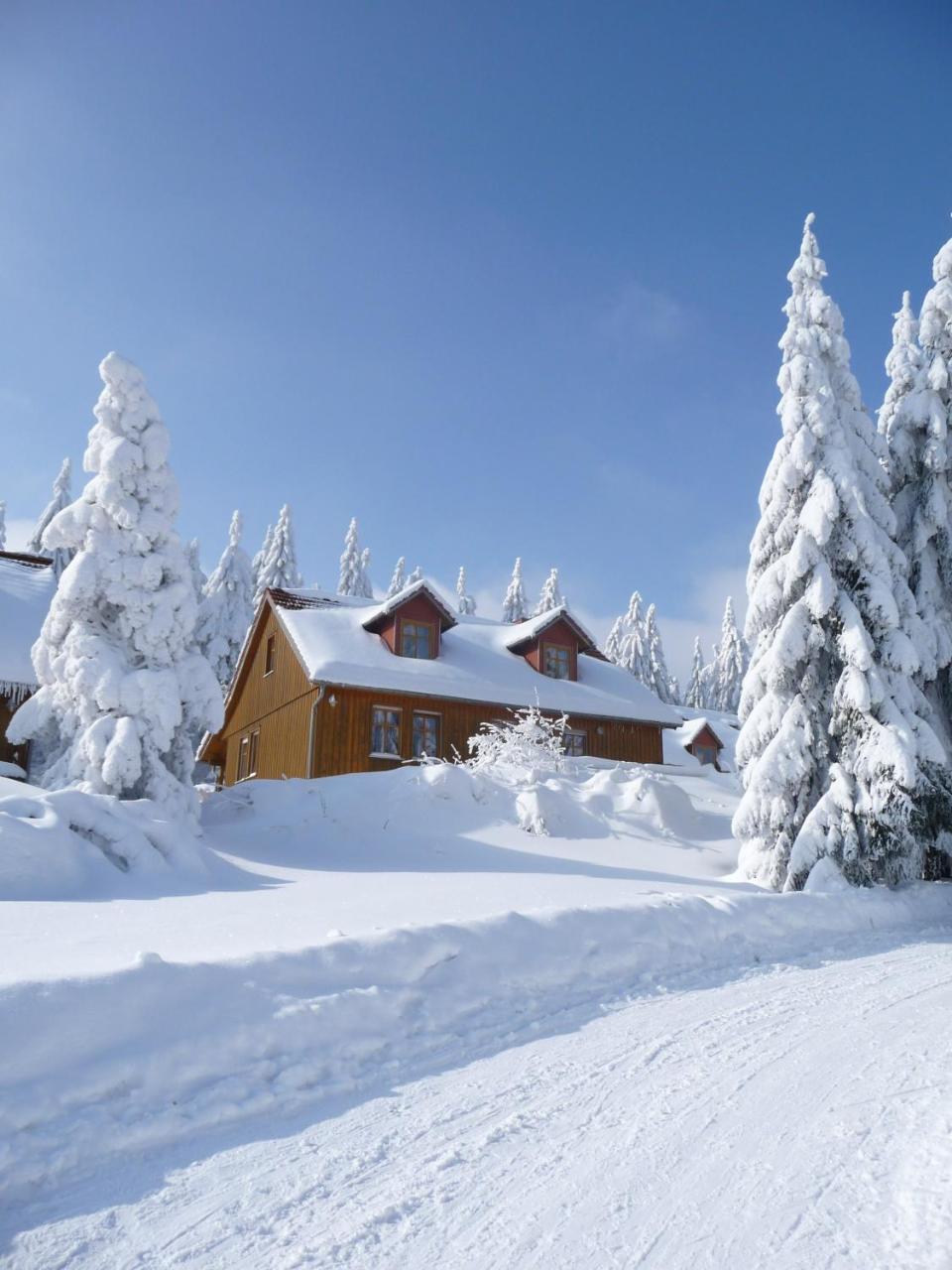 Hotel Und Berggasthof Spiessberghaus Friedrichroda Eksteriør billede